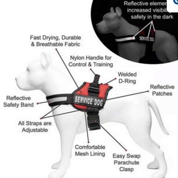 Service Dog Harness - Picture 8 of 11